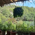 Tatil Evi Blue