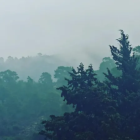 Blue Semesterbostad *