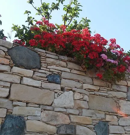 Semesterbostad Blue *