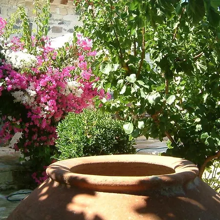 Semesterbostad Blue Apsiou