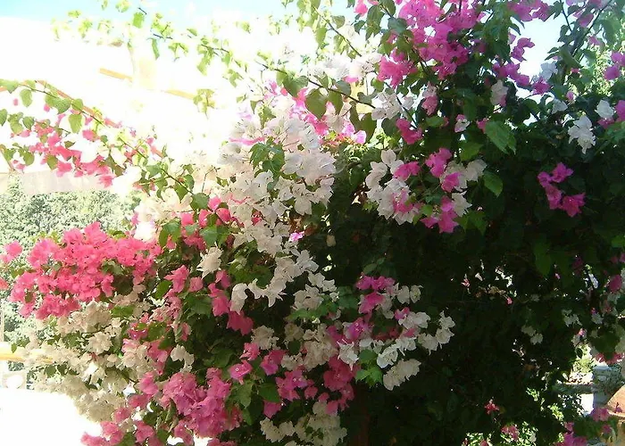 Blue Сasa de vacaciones