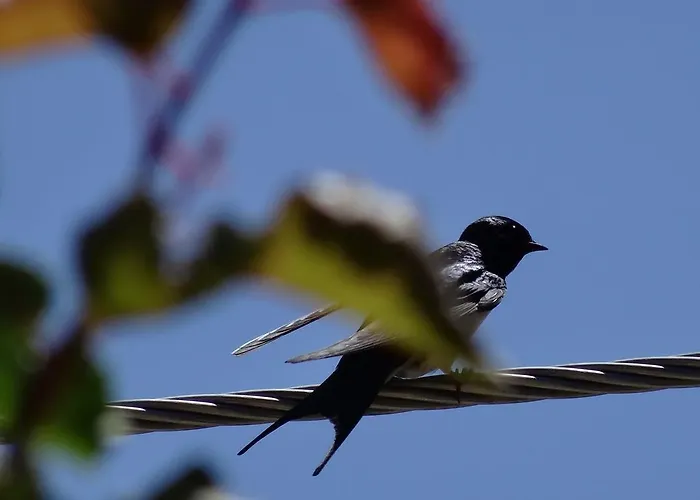 Prázdninový dům Blue *